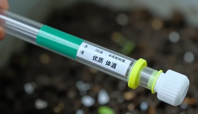 农产品销售中的存储与保鲜技巧