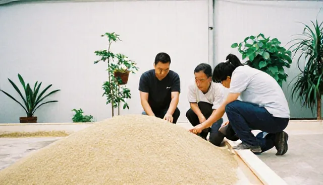 高效饲料在实际环节中的应用误区与解决